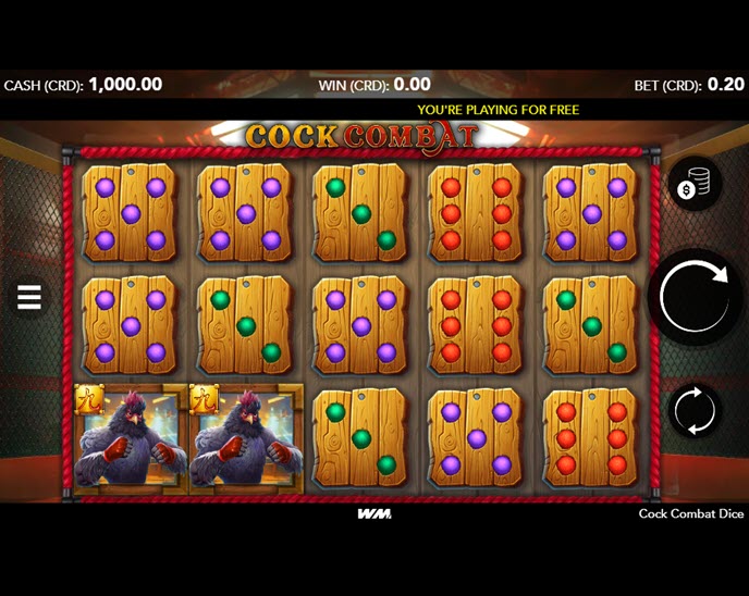 Cock Combat Dice