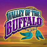 Valley of the Buffalo