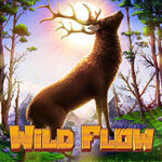 Wild Flow