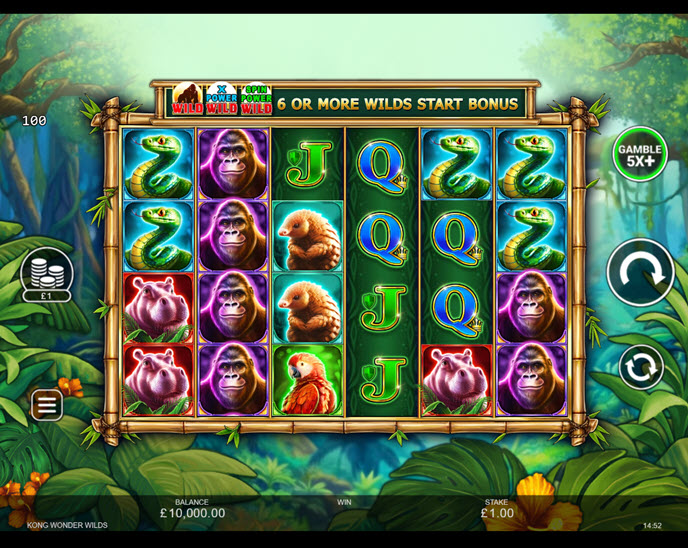 Kong Wonder Wilds