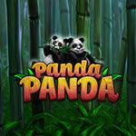 Panda! Panda!