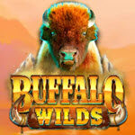 Buffalo Wilds