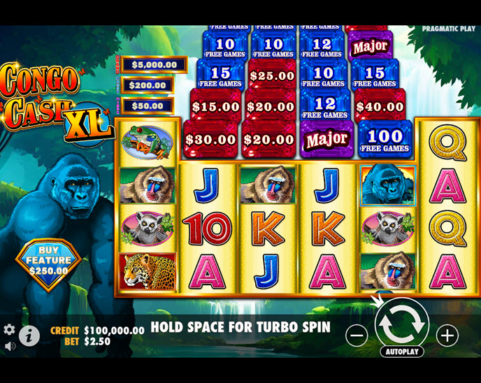 Congo Cash XL