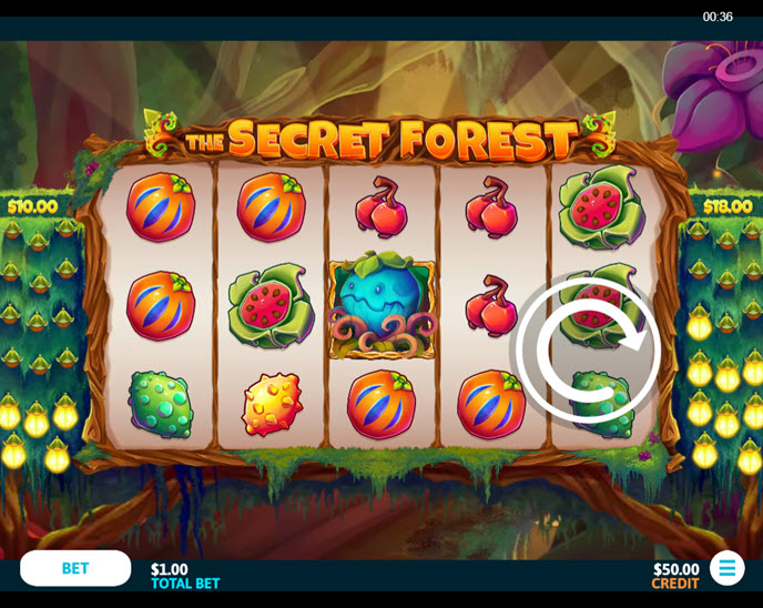 The Secret Forest