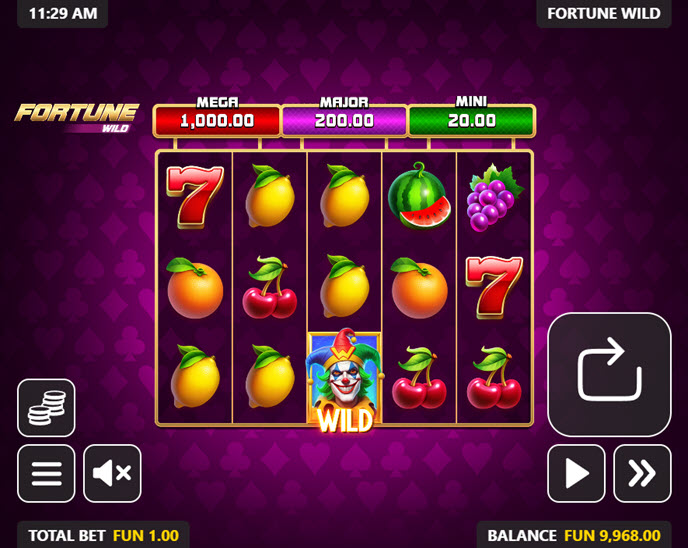 Fortune Wild