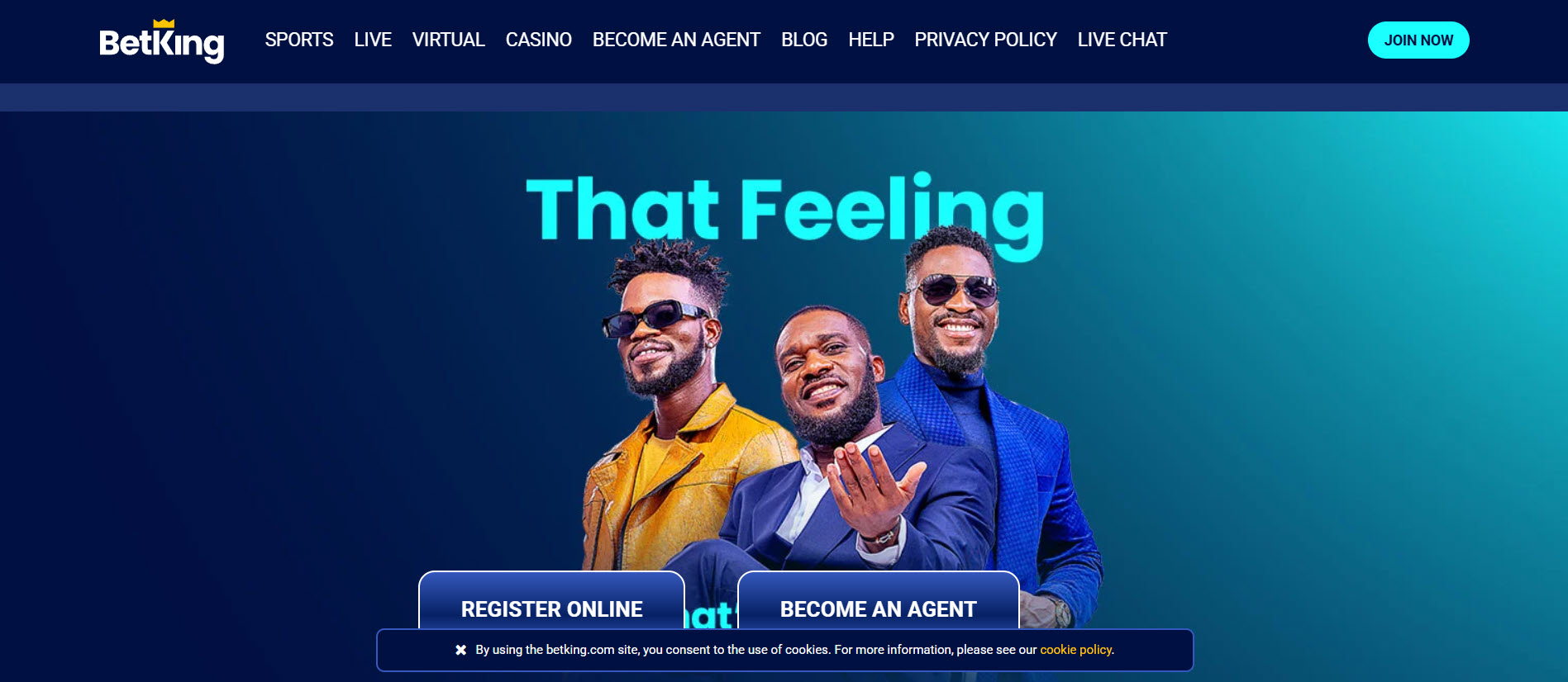 BetKing Casino