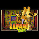 Safari Time