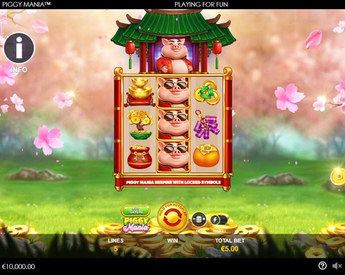 Piggy Mania