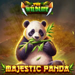 Majestic Panda