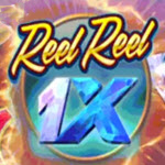 1x Reel Reel