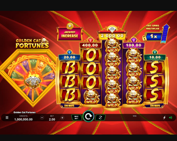 Golden Cat Fortunes