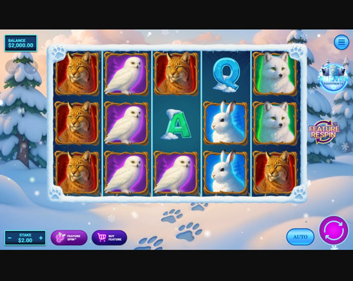 Winter Footprints