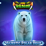 Majestic Polar Bear
