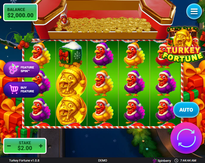 Turkey Fortune
