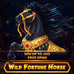 Wild Fortune Horse