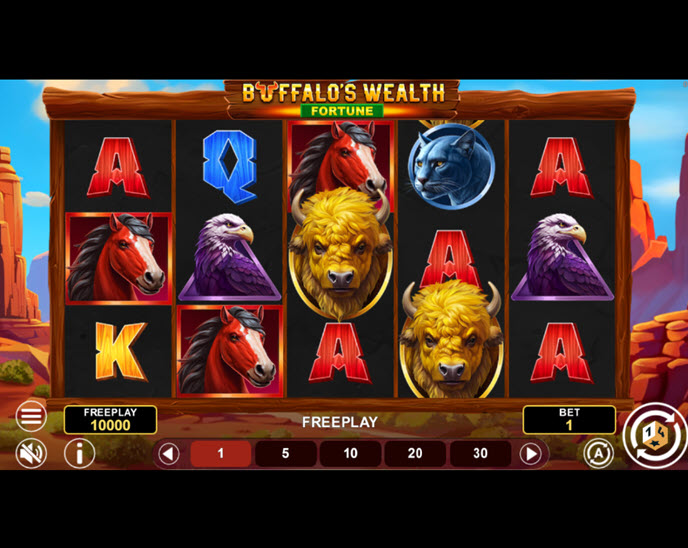 Buffalo's Wealth Fortune