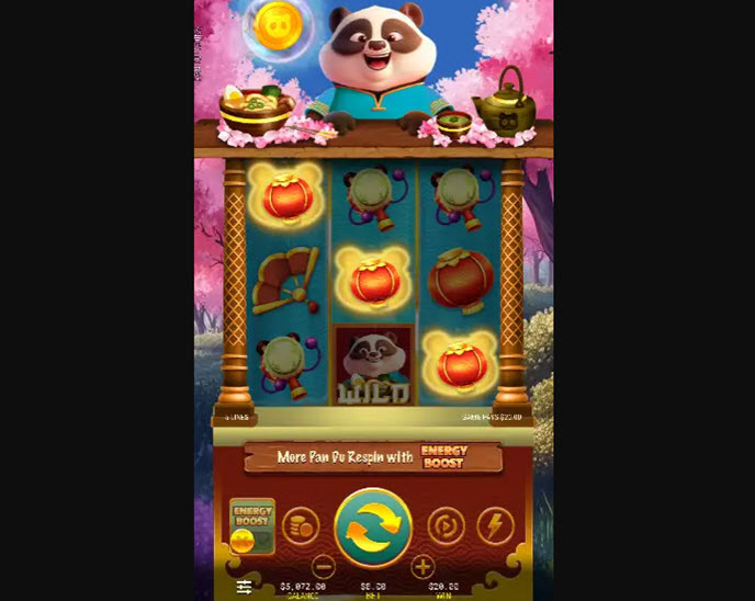 Pan Du Coins