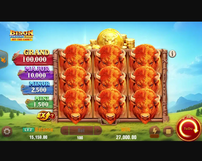 Bison Fortune Coins