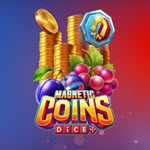 Magnetic Coins Dice