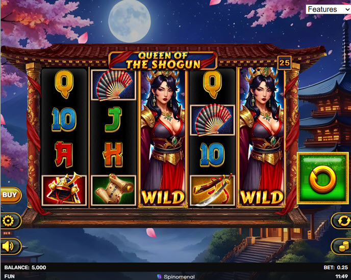 Queen of the Shogun