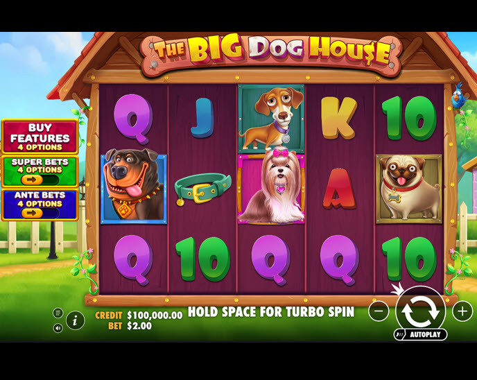 The Big Dog House