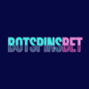 Botspinsbet Casino