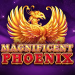 Magnificent Phoenix