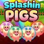 Splashin Pigs
