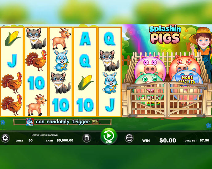 Splashin Pigs