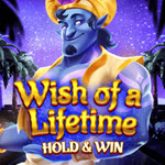 Wish of a Lifetime