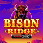 Bison Ridge Power Combo