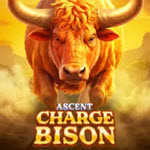 Charge Bison Ascent