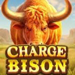 Charge Bison