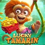 Lucky Tamarin