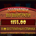 Собаки без будок