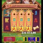 Big dog house новые собаки, обманчивая игра