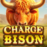 Charge Bison (Jili)