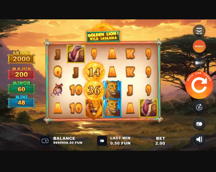 Golden Lion Wild Savanna