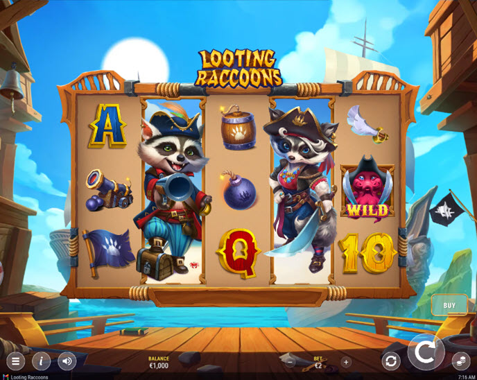 Looting Raccoons