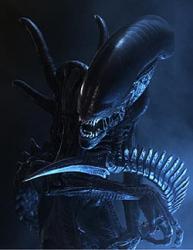 avatar-12159