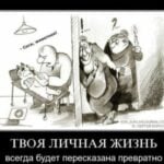 hgsdtv