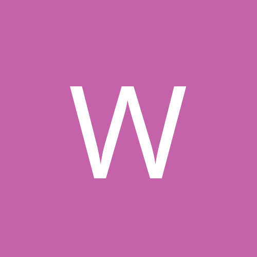 Wollf2019