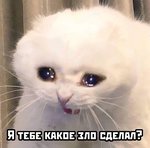 avatar-21836