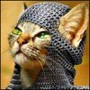 avatar-22688