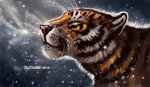 avatar-26937