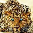 Vikasss