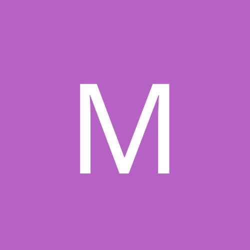 Myravey23_Termit