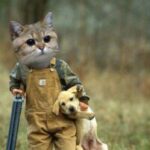 Miron_F1