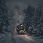 avatar-80561